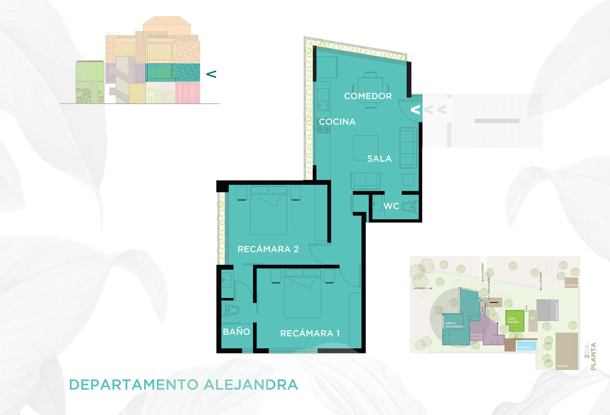 Alejandra Apartment Layout