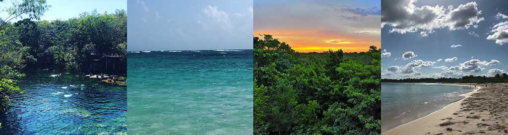 Cenotes, jungle & beach