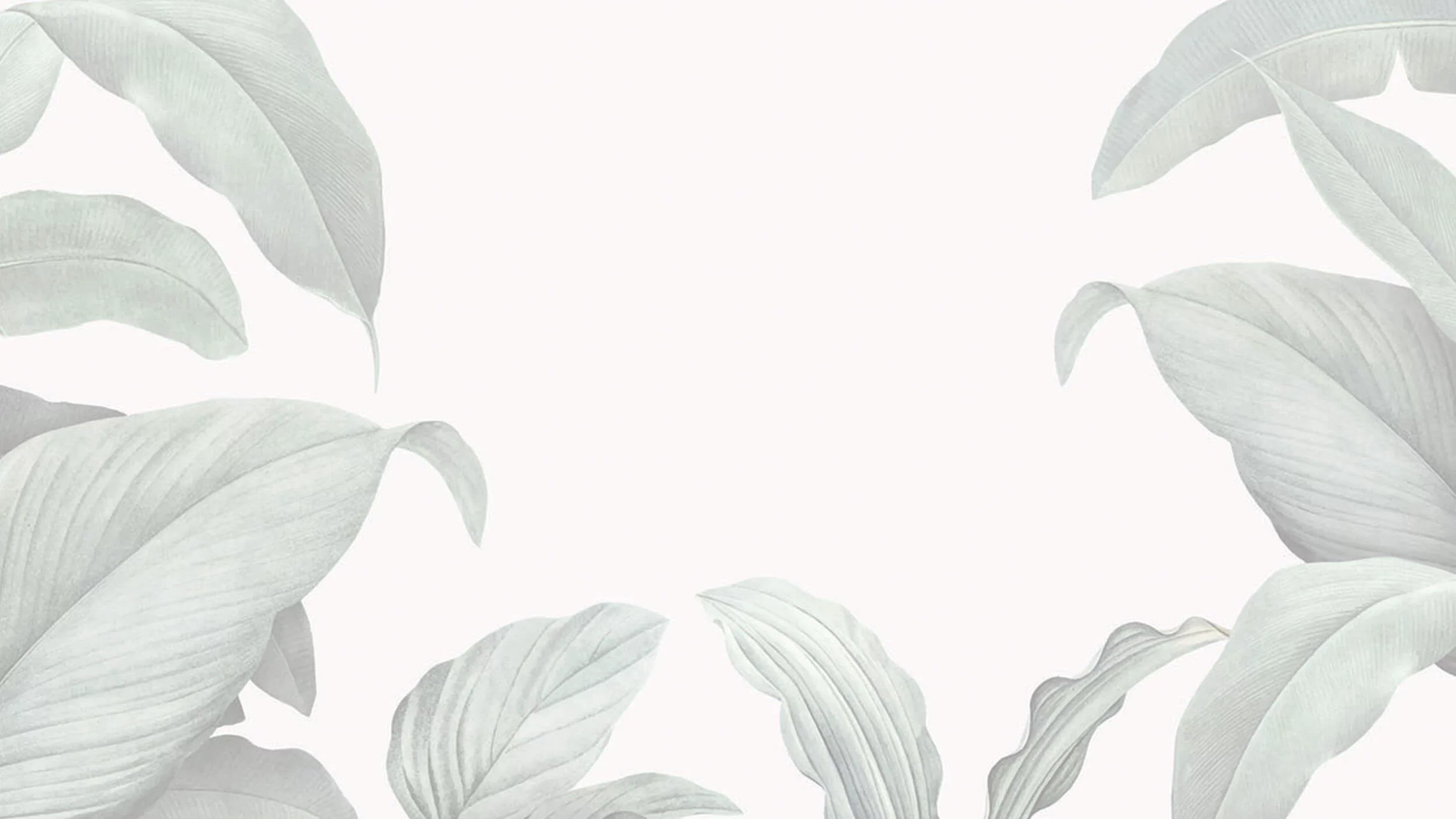 Background image with leaves