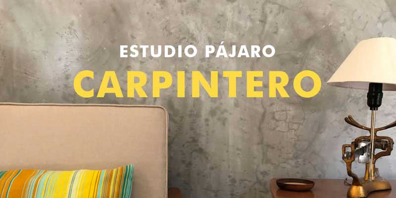 Pájaro Carpintero Studio