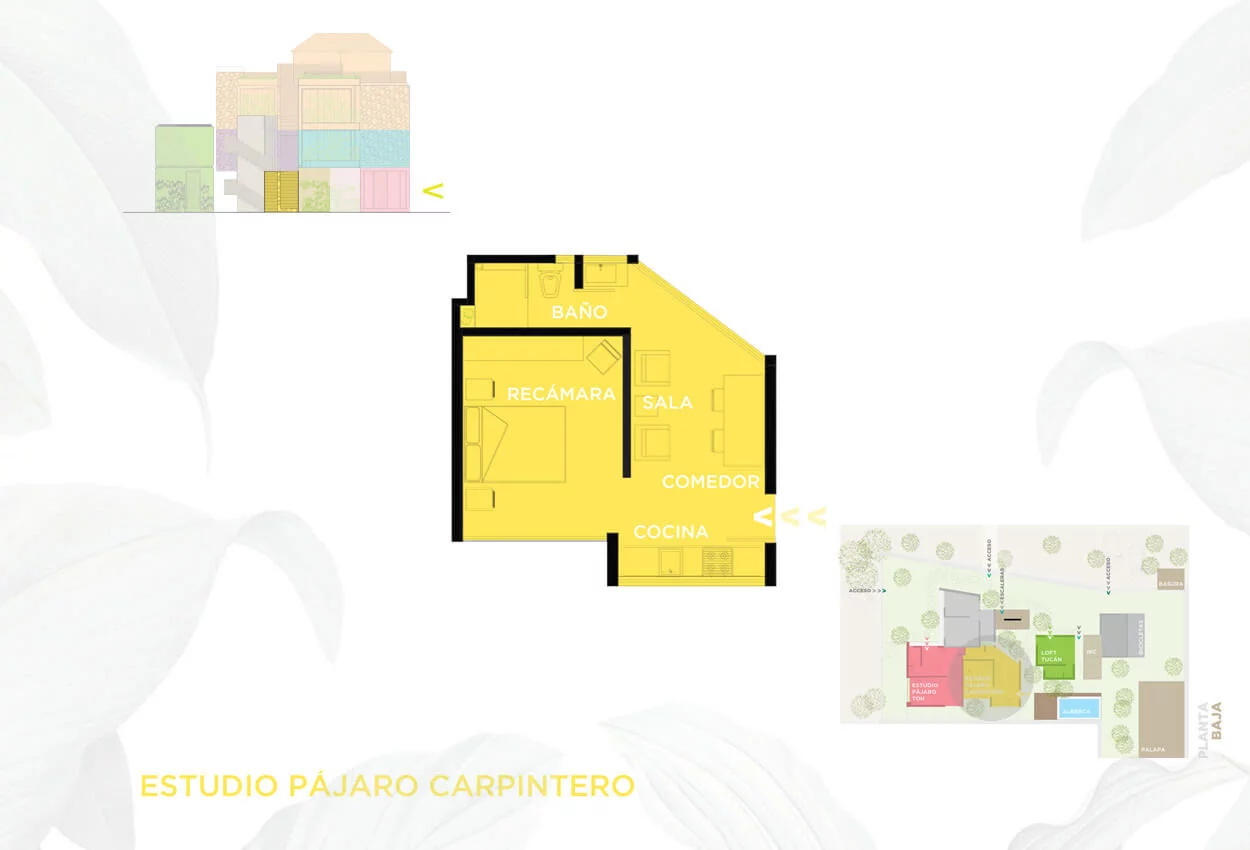 Pajaro Carpintero Studio Layout