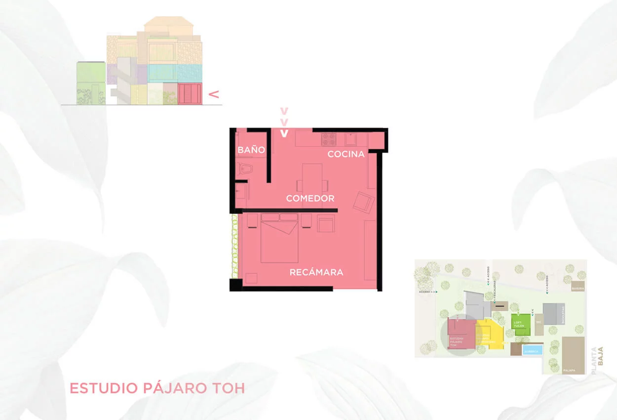 Pajaro Toh Studio Layout Floorplan