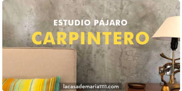 Pájaro Carpintero Studio Main Photo